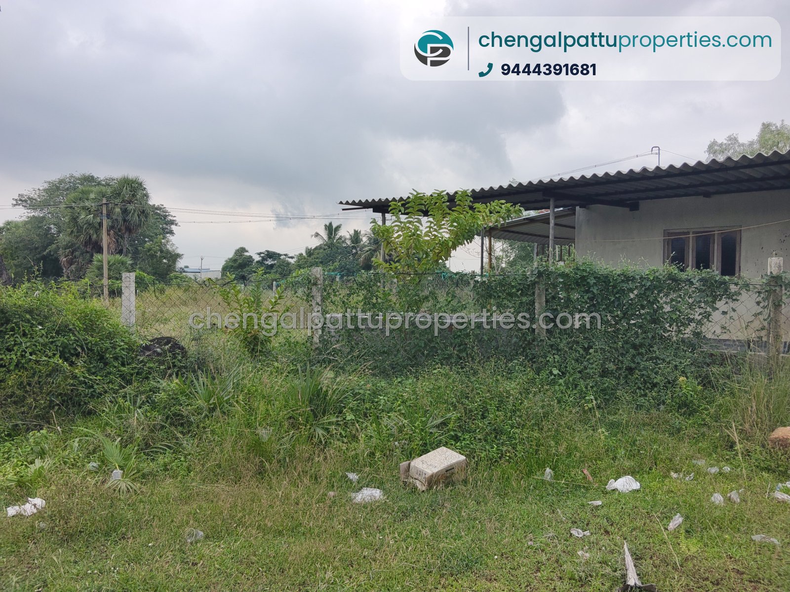 Agriculture Punjai - Farm land for sale in Chengalpattu - Soorai - photo 1 of 4