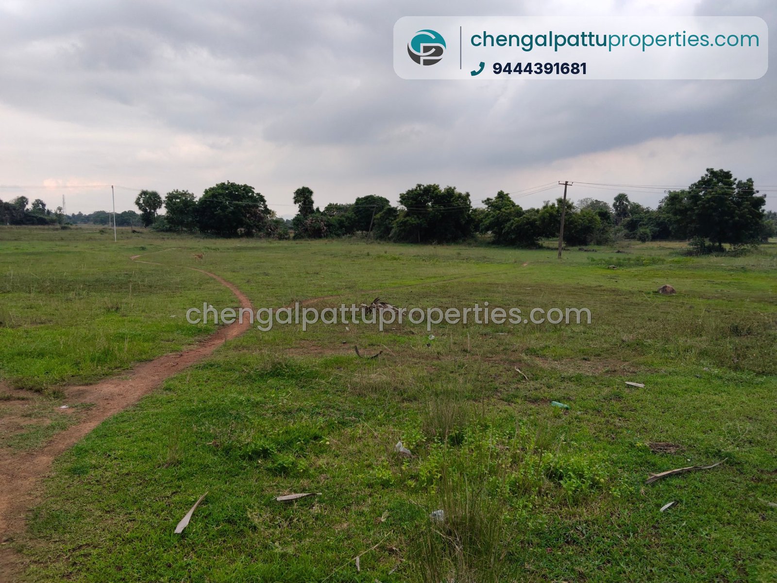 Agriculture Punjai - Farm land for sale in Chengalpattu - Soorai - photo 2 of 4
