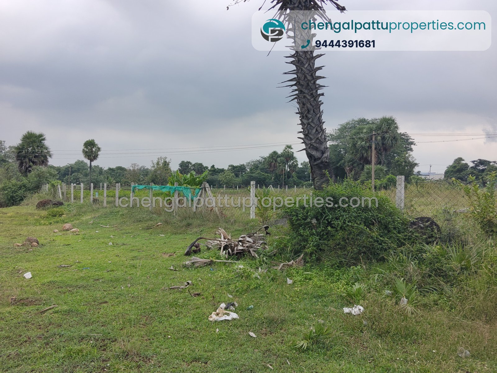 Agriculture Punjai - Farm land for sale in Chengalpattu - Soorai - photo 2 of 4