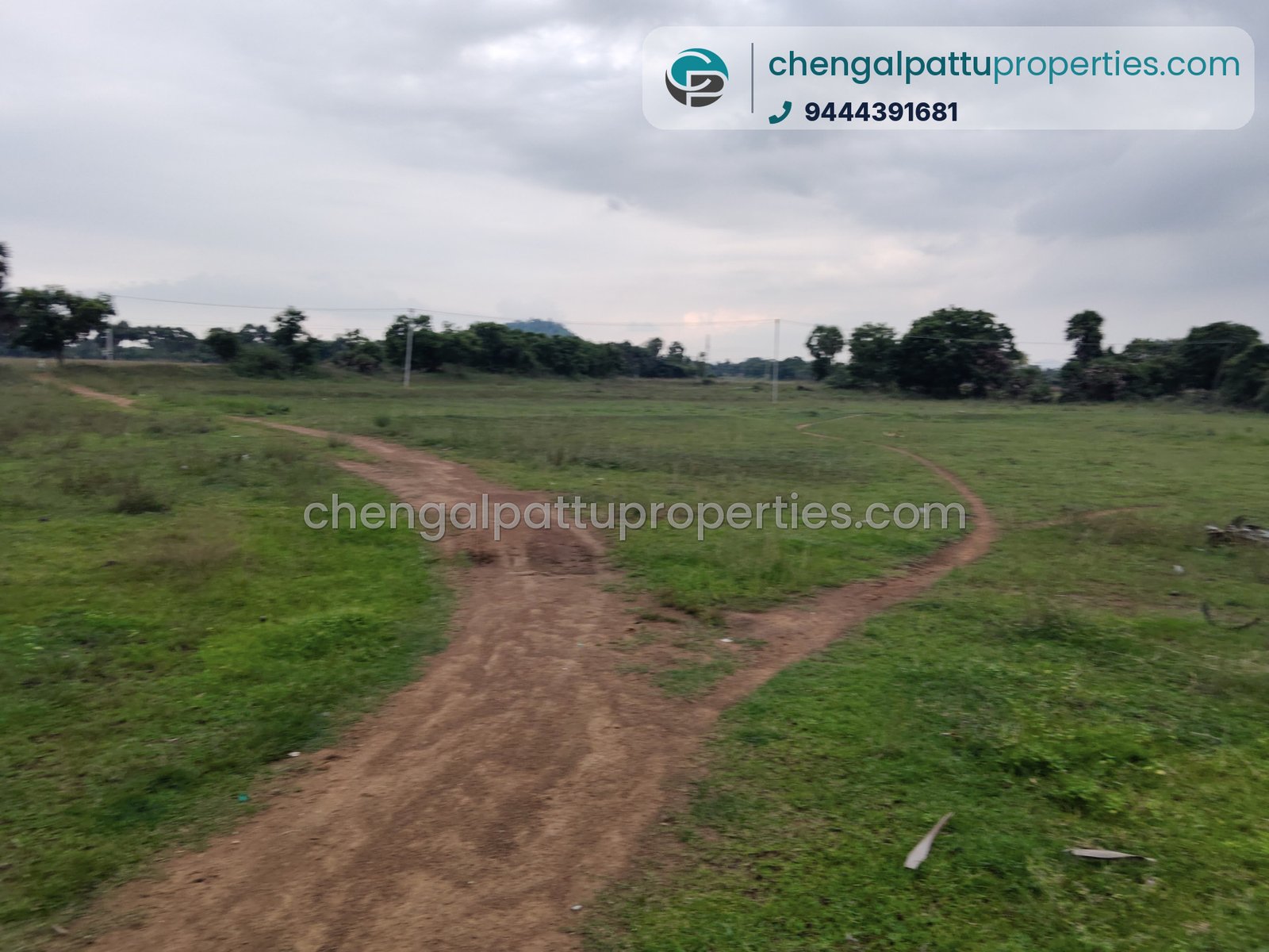 Agriculture Punjai - Farm land for sale in Chengalpattu - Soorai - photo 3 of 4