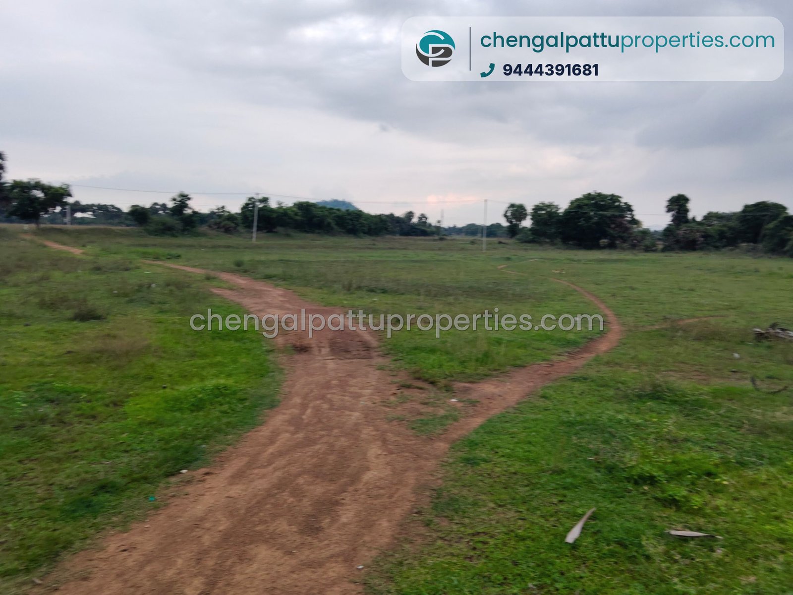 Agriculture Punjai - Farm land for sale in Chengalpattu - Soorai - photo 4 of 4