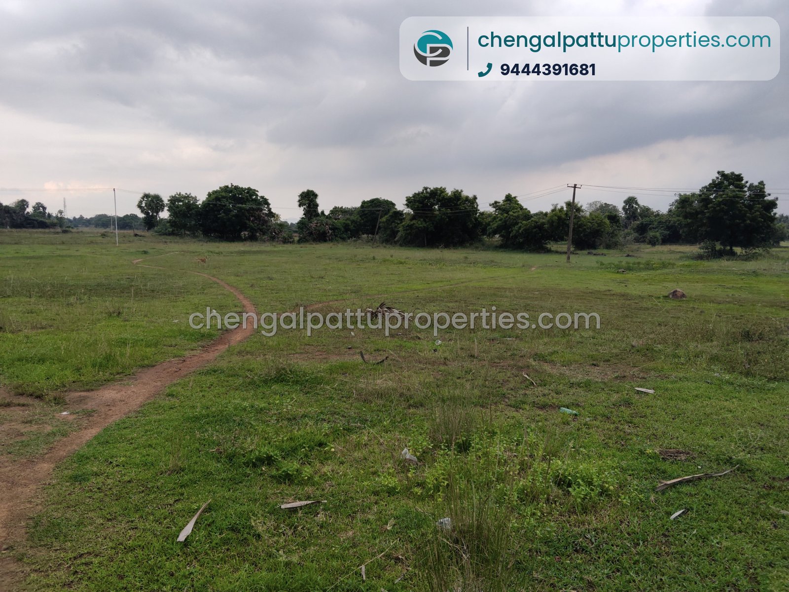 Agriculture Punjai - Farm land for sale in Chengalpattu - Soorai - photo 4 of 4