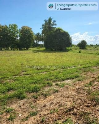 13 Acres of land for sale-- Layout purpose land