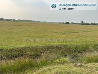 Agriculture land for sale in padalam -chengalpattu 