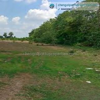 Agriculture land for sale in Chengalpattu to Uthiramerur On Road 