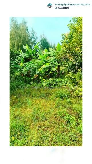 Farm land for sale in singaperumal koil -sastharambakkam