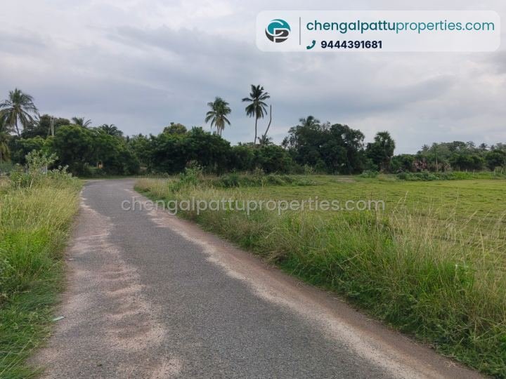 Agriculture Punjai - Farm land for sale in Chengalpattu - Soorai
