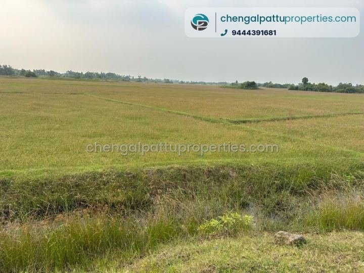 Agriculture land for sale in padalam -chengalpattu 