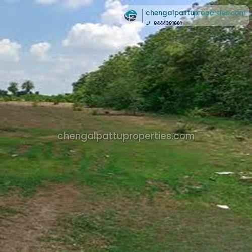 Agriculture land for sale in Chengalpattu to Uthiramerur On Road 