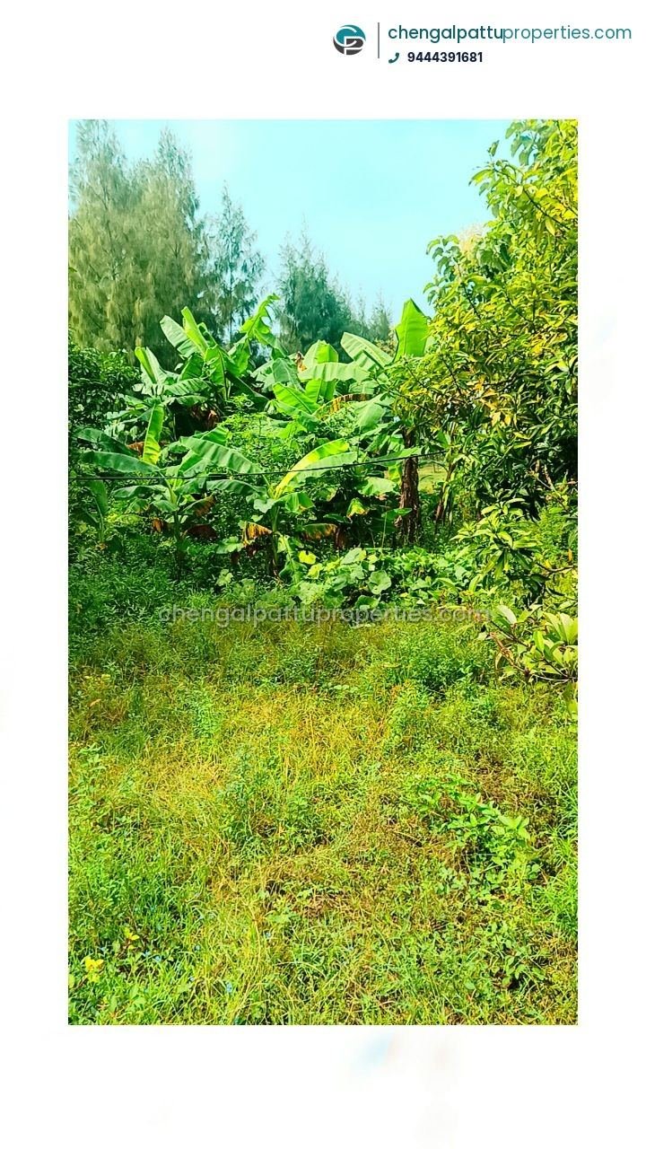 Farm land for sale in singaperumal koil -sastharambakkam